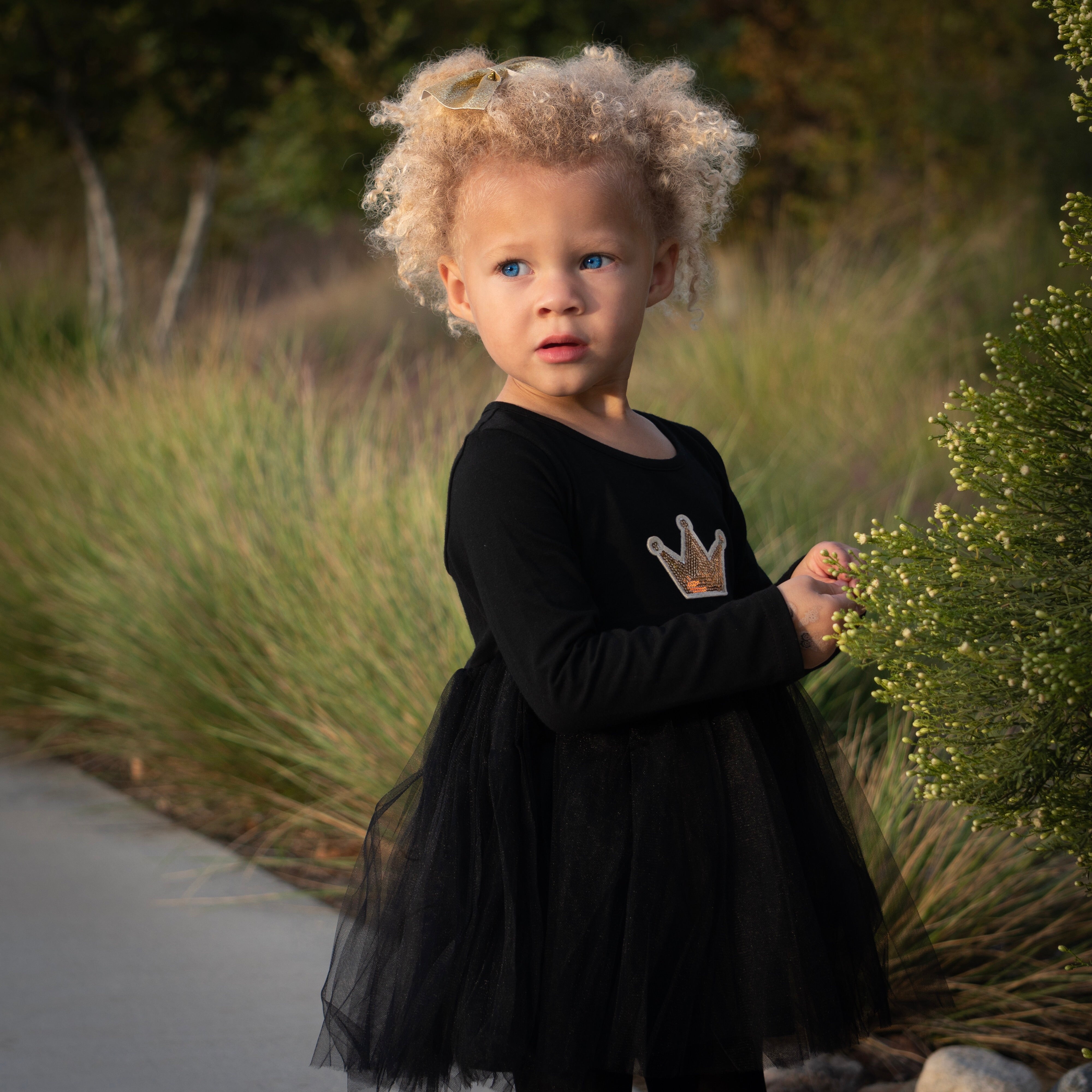 Avery - "Black Tutu Crown Dress" momarazzi Avery - "Black Tutu Crown Dress" momarazzi